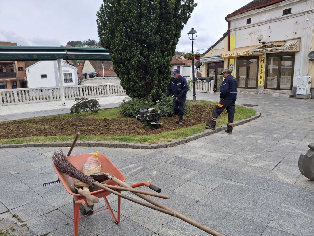 Počela prolećna sadnja cveća, Vamedia