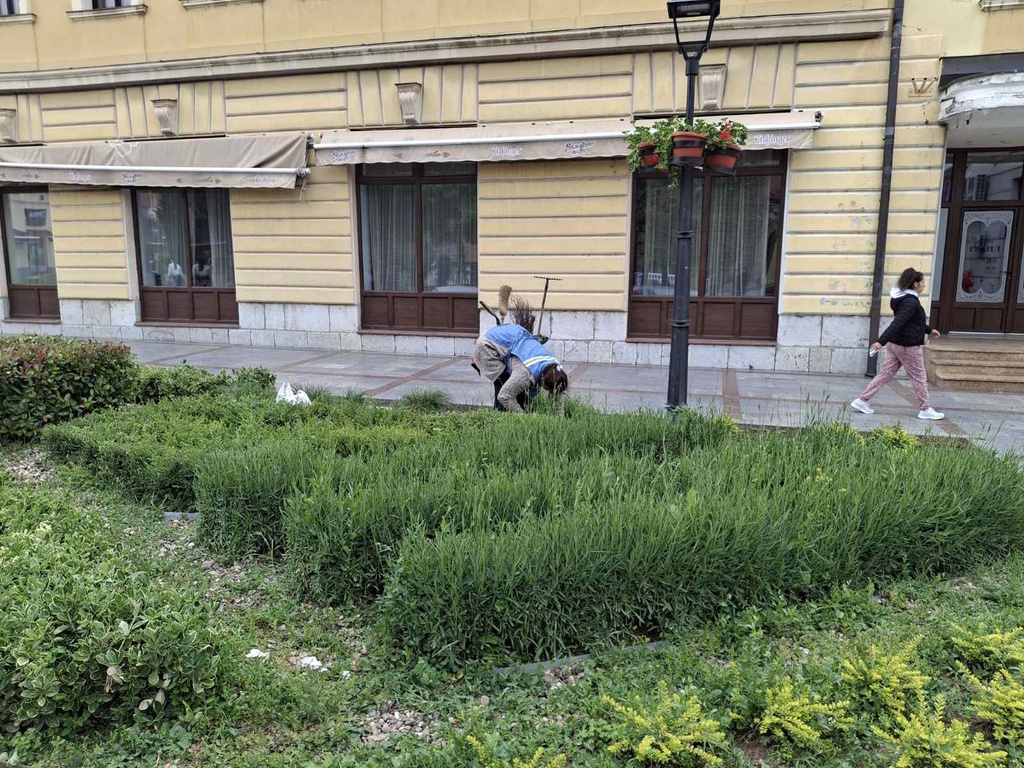 Počela prolećna sadnja cveća, Vamedia