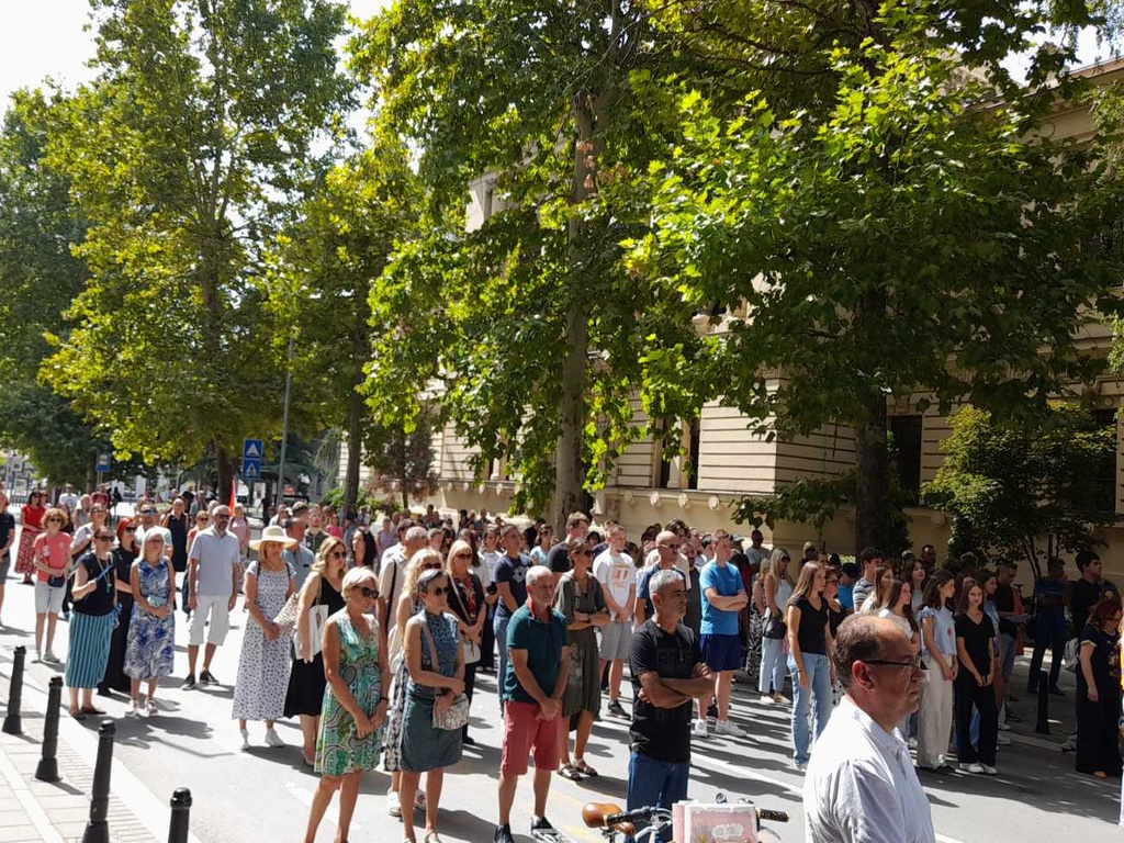 Valjevski gimnazijalci, protest