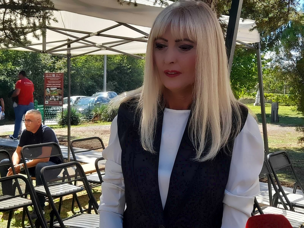 Zorica Jocić, načelnica ŠU Valjevo