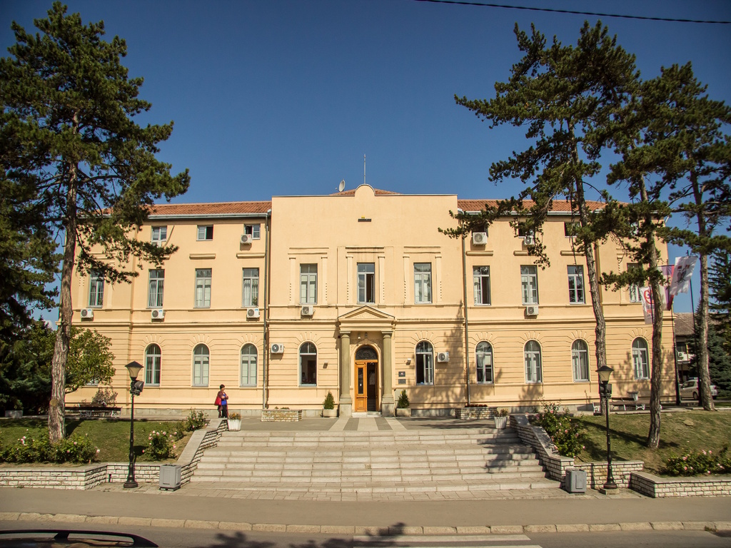 Mionica-lokalni izbori
