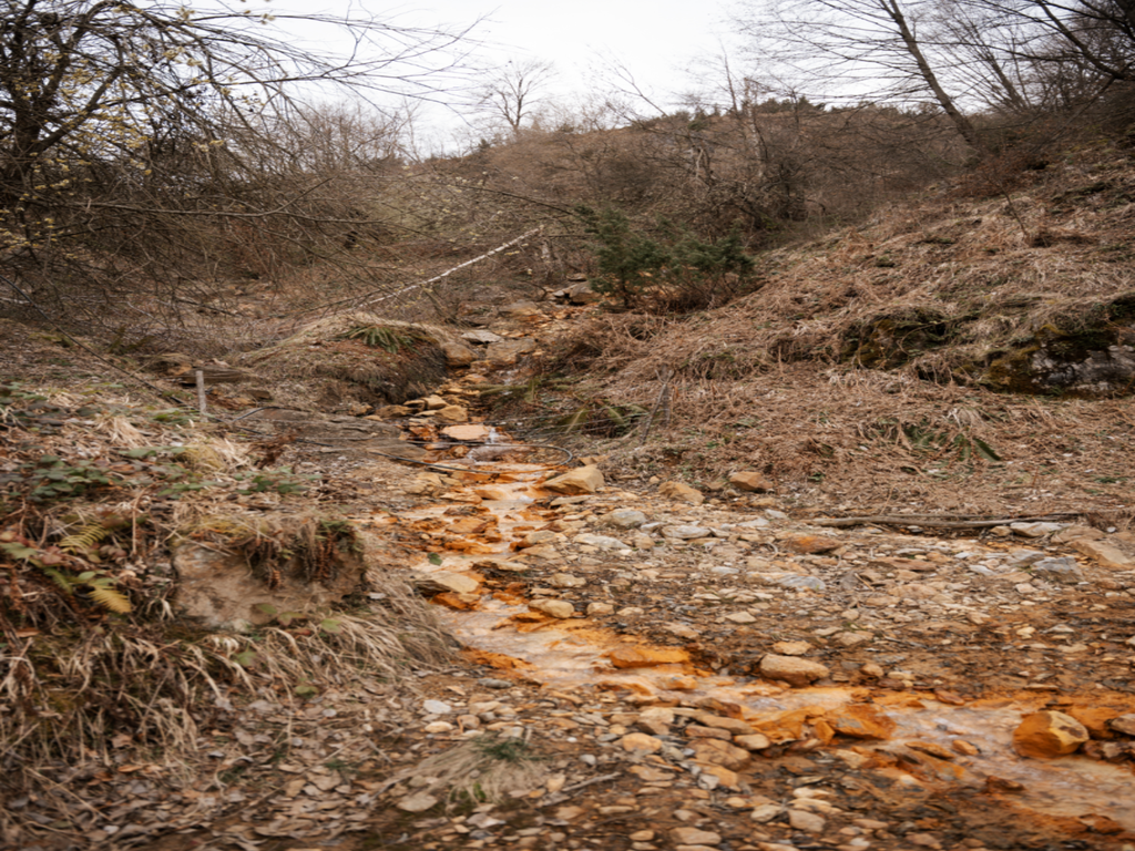 Bobija/foto: Valjevski zbor i Rastko Bojičić