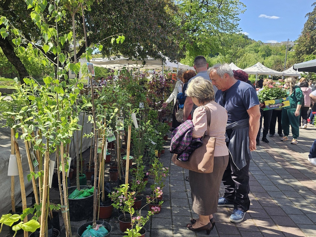 izložba cveća 2026/foto: Snežana Birčanin