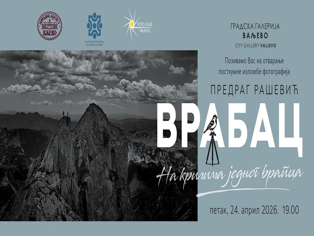 Na krilima jednog vrapca 