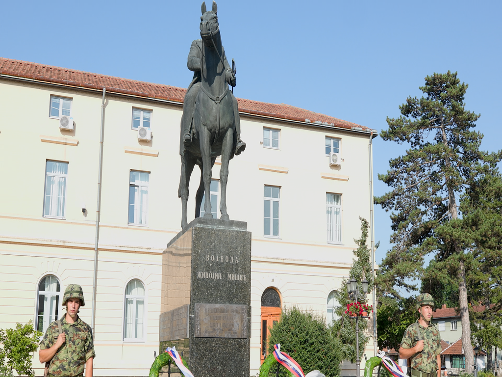 spomenik Živojinu Mišiću, Mionica 