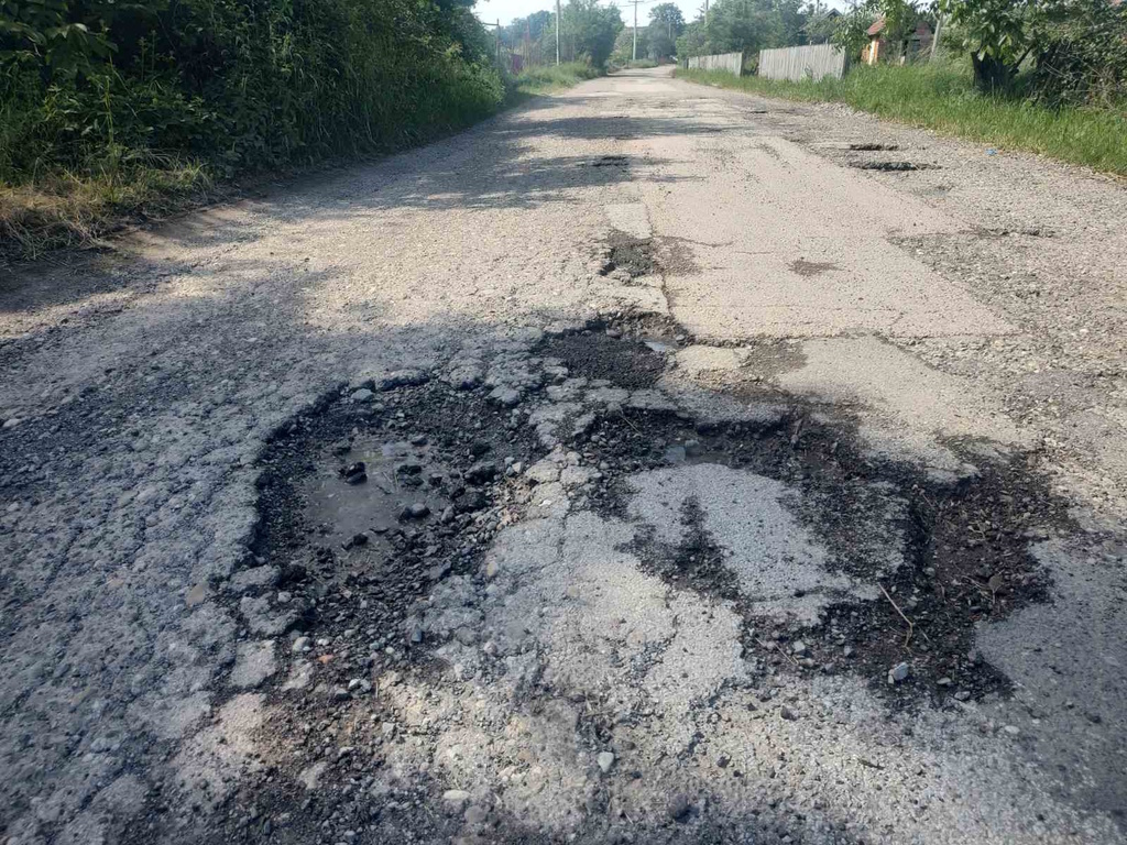 Vanizborna putešestvija/foto: Aleksandar Manojlović